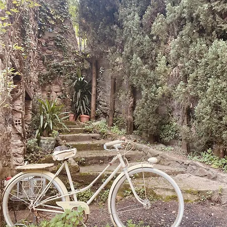 Vella 1 * Santa Pau